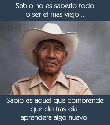 Sabio es…